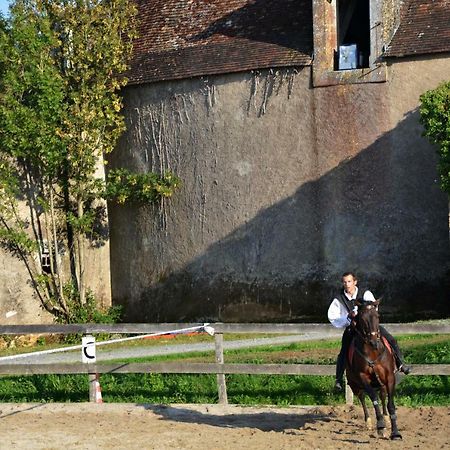 Chateau Des Noces Bazoges-en-Pareds Εξωτερικό φωτογραφία